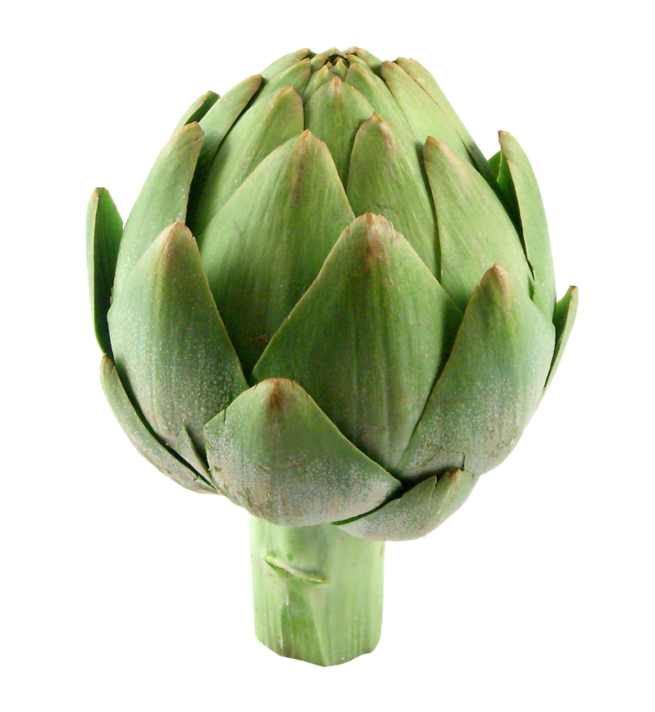 White Artichokes Mediterranean Vegetables MedilifeFood