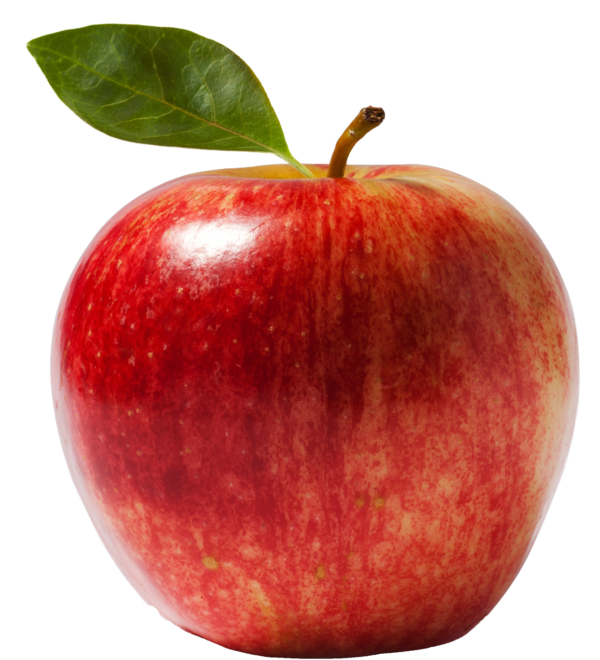 apple frruit